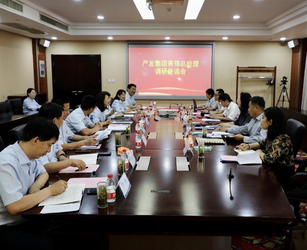 集團(tuán)黨委副書記、總經(jīng)理黃蓓帶隊(duì)調(diào)研濟(jì)南市工程咨詢?cè)? class=