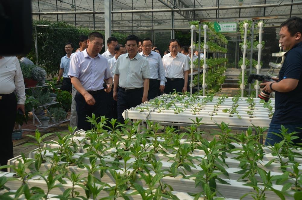 科技助農(nóng)，播撒光的種子  精準扶貧，助力鄉(xiāng)村振興